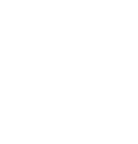 Loyalyn Technologies
